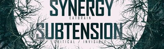 FUTURE BEATZ pres.: Misanthrop - Synergy - Subtension am 14.01.2017 @ Flex