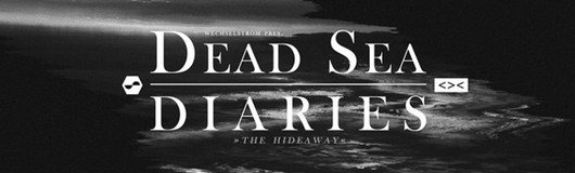 Dead Sea Diaries feat. Jonas Kopp / pres. by Wechselstrom am 14.01.2017 @ Grelle Forelle