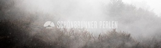 Schönbrunner Perlen im Sass am 12.01.2017 @ Sass Club