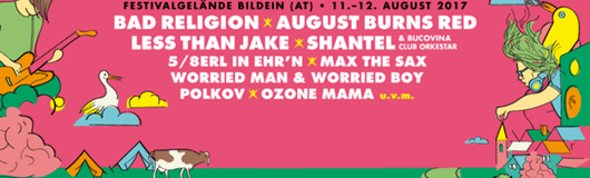 18. picture on festival 2017 am 11.08.2017 @ Festivalgelände Bildein