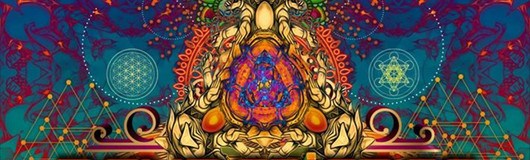Psyperience - Sommer Special mit Technical Hitch & Will O Wisp am 19.08.2017 @ Grelle Forelle