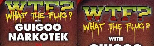 Raggatek special & Guigoo Narkotek am 10.06.2017 @ Fluc Wanne