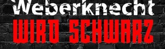 Weberknecht wird schwarz | im JULI am 22.07.2017 @ Weberknecht