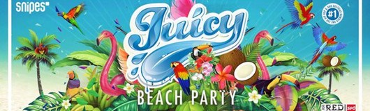 Juicy Beach Party am 23.07.2017 @ 21er Haus