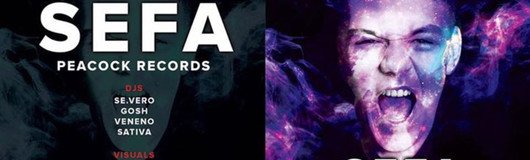 SEFA *Peacockrecords* am 19.08.2017 @ Fluc Wanne