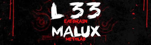 Push 4 Voller Freude pres. L 33 & Malux am 13.10.2017 @ Fluc Wanne
