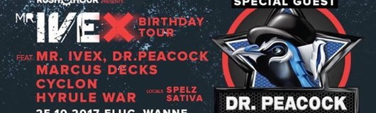 Dr. Peacock & Mr. Ivex & Cyclon & Hyrule War & Marcus Decks am 25.10.2017 @ Fluc Wanne
