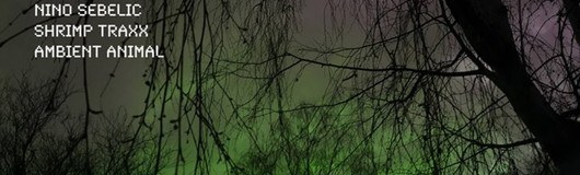 Sama Recordings LABEL NIGHT w/ Nino Sebelic am 13.04.2018 @ Fluc