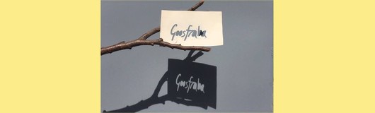 Goosfraba am 29.06.2018 @ Celeste