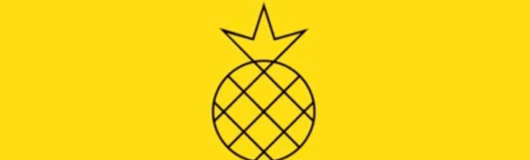 ANANAS - No. 20 am 12.10.2018 @ Das Werk