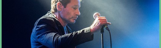 David Duchovny (US) • Wien am 12.02.2019 @ Arena Wien