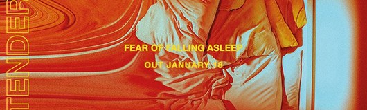 Tender (UK) • Wien am 18.02.2019 @ chelsea
