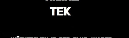 The Beginning of the Rising TEK am 16.01.2019 @ Fluc Wanne