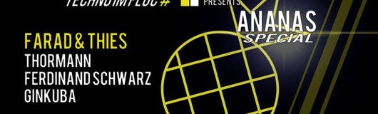 Push 4 TeC pres.: Techno im Fluc #4 Ananas Special am 15.02.2019 @ Fluc + Fluc Wanne
