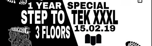 Step To Tek XXXL / 1 Year Special / 3 Floors am 15.02.2019 @ The Loft