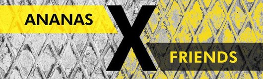 ANANAS x Friends am 15.03.2019 @ Das Werk