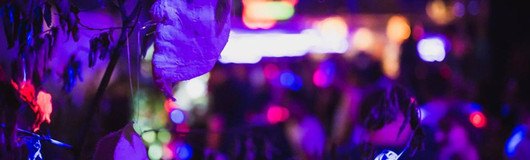 Ouroboros VIII am 23.03.2019 @ Fluc + Fluc Wanne