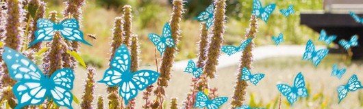 WU Sommerfest am 13.06.2019 @ WU Campus