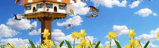 Frühlingsgezwitscher 2 am 20.04.2019 @ Himmel und Wasser
