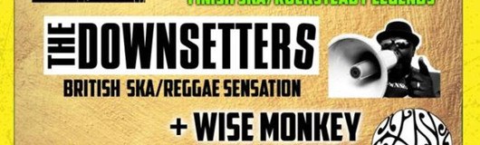 Skanking Night feat.The Valkyrians (FIN)-Downsetters-Wise Monkey am 21.04.2019 @ Fluc + Fluc Wanne