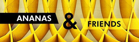 ANANAS & Friends am 17.05.2019 @ Das Werk