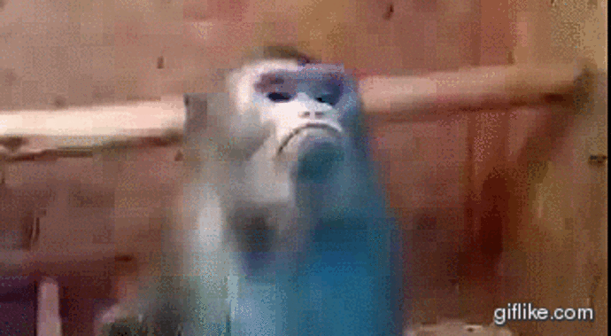 1562688026 giphy 2